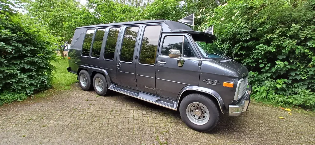 Kleine grijze rouwbus - foto 1