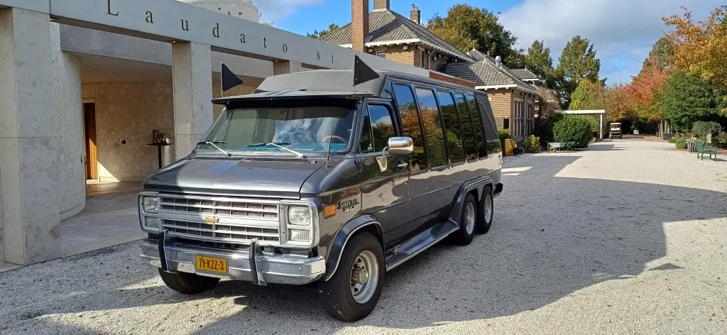 Kleine grijze rouwbus - foto 2