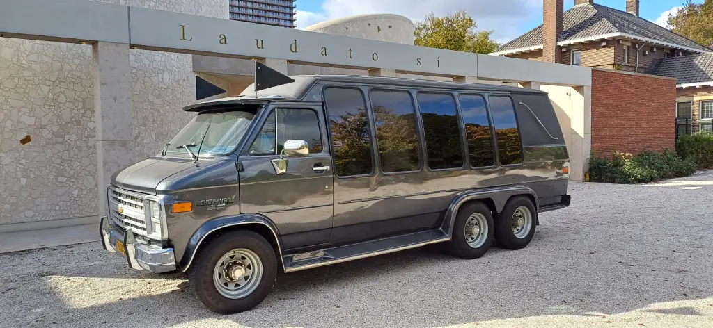 Kleine grijze rouwbus - foto 3