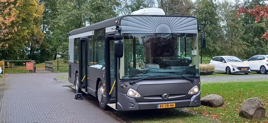 Grote grijze rouwbus - foto 5