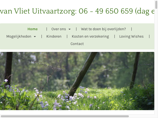 Screenshot Mariska van Vliet